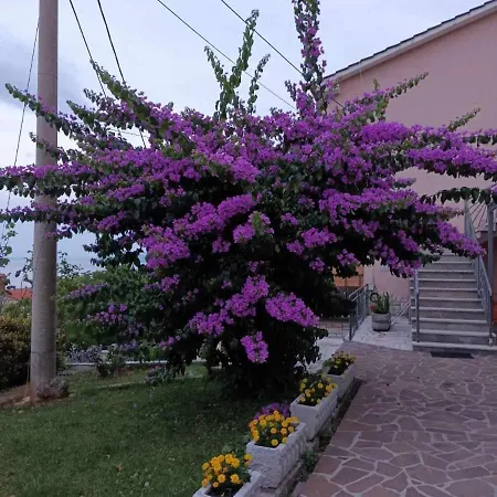 Apartament Relax